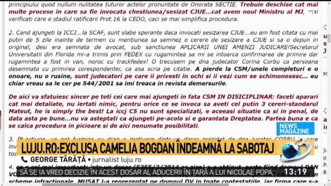 Complot &icirc;mpotriva noului președinte &Icirc;CCJ. Judecătoarea Camelia Bogdan &icirc;ndeamnă la sabotaj