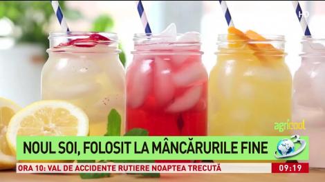 Busuiocul cu miros de lămăie, calități deosebite. Soiul unic &icirc;n lume cultivat &icirc;n Buzău