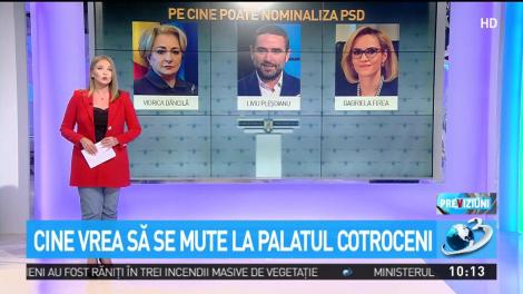 Cine vrea să se mute la Palatul Cotroceni