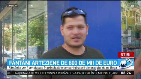 F&acirc;nt&acirc;ni arteziene de 800 de mii de euro la Timişoara