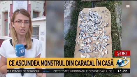 Ce ascunde monstrul din Caracal în casă