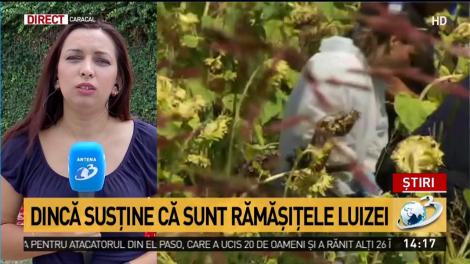 Oase într-o pădure din Caracal. Gheorghe Dincă susține că ar fi ale Luizei Melencu