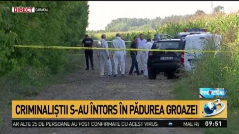 C&acirc;inii, aduşi pentru a găsi probe