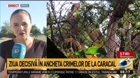 Ziua decisivă în ancheta crimelor de la Caracal. Criminaliștii vor scana curtea lui Gheorghe Dincă