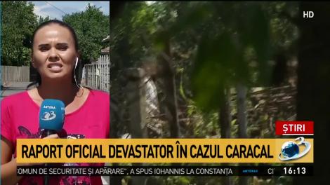 Raportul oficial devastator în cazul Caracal