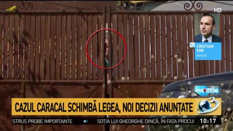 Cazul caracal schimbă legea. Guvernul vrea să majoreze pedepsele