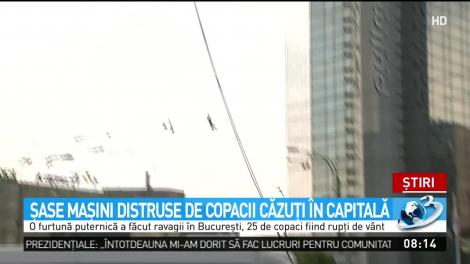 Vremea a făcut ravagii în Capitală. Mașini distruse din cauza copacilor