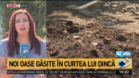 Noi oase găsite în curtea lui Gheorghe Dincă