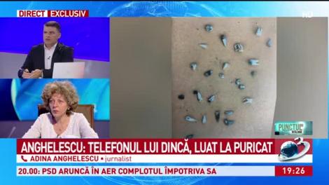 Noi imagini cu dinții găsiți în butoiul lui Dincă: „Doar din șapte dinți a rezultat ADN-UL Alexandrei. Restul fragmentelor osoase erau prea deteriorate”