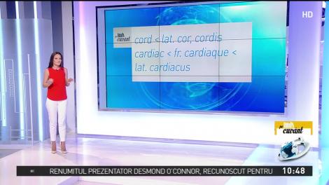 Totul despre originea cuv&acirc;ntului ''cord''