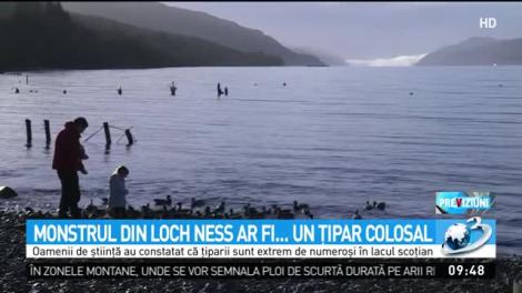 Legendarul monstru din Loch Ness ar fi fost, de fapt, un ţipar uriaş