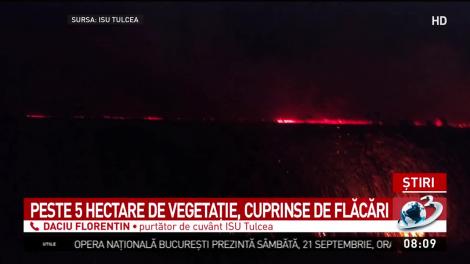 Incendiu de proporții în Delta Dunării! Flăcările puternice au cuprins zece hectare de vegetație uscată