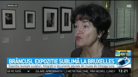 Cea mai importantă expoziţie cu operele lui Brâncuşi au fost expuse la Bruxelles