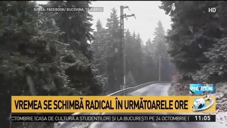 Ninge ca-n povești în România. Imagini din locul în care iarna s-a instalat deja