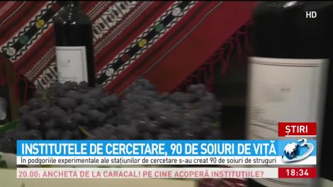 Institutele de cercetare, 90 de soiuri de viţă