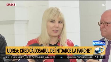 Udrea: Cele 5 milioane de euro au fost pentru PDL