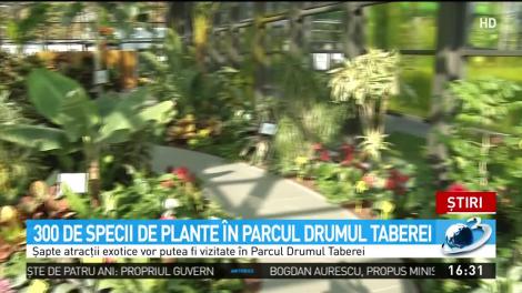 300 de specii de plante &icirc;n Parcul Drumul Taberei