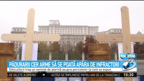 Pădurarii cer arme să se poată apăra de infractori