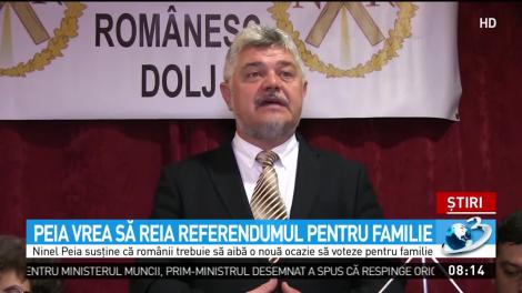 Ninel Peia vrea să reia referendumul pentru familie