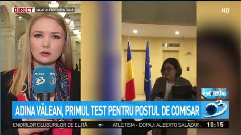 Adina Vălean, audiată de parlamentarii români