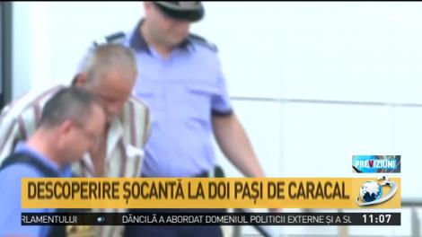 Descoperire şocantă la doi paşi de Caracal: Două cranii umane, găsite pe câmp