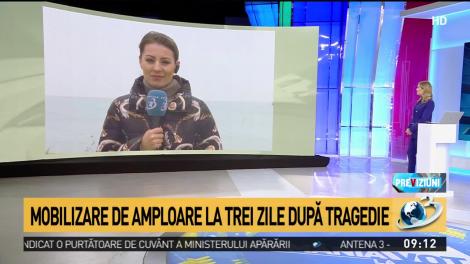 Catastrofă &icirc;n Portul Midia: C&acirc;te oi din cele 14.000 au fost salvate