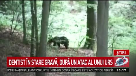 Dentist &icirc;n stare gravă, după un atac al unui urs