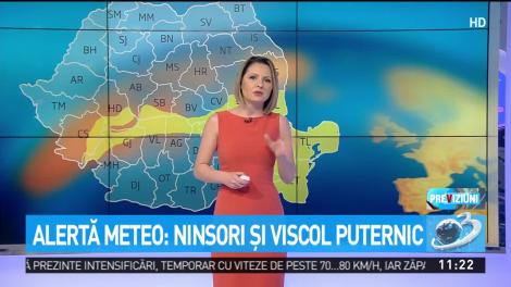 Alertă meteo: Ninsori şi viscol puternic