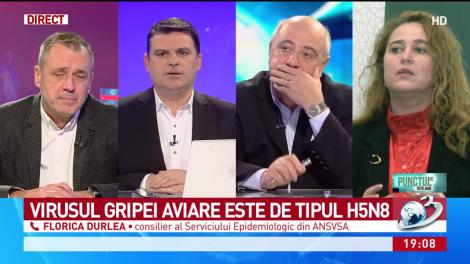 Alertă! gripă aviară, din Ungaria &icirc;n Rom&acirc;nia