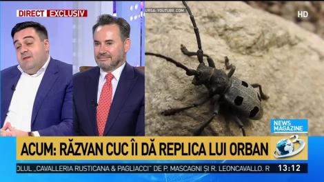 Răzvan Cuc îi dă replica lui Ludovic Orban, în scandalul pentru lipsa autostrăzilor. Cine minte?