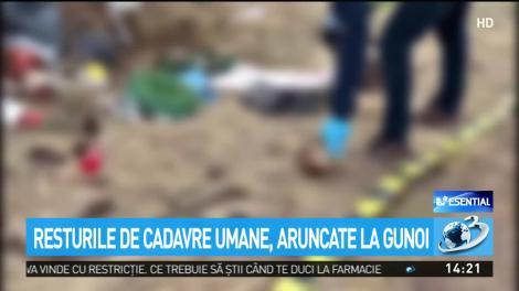 VIDEO. Resturi de cadavre umane, aruncate la gunoi. Descoperire macabră pe un câmp de lângă Timişoara