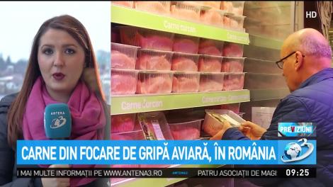 Carne din focare de gripă aviară, în România. Din 17 tone ajunse în magazine, au fost recuperate doar 38 de kilograme