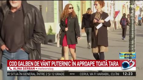 God galben de v&acirc;nt puternic &icirc;n aproape toată ţara