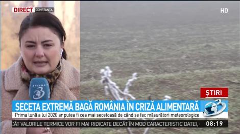 Seceta extremă bagă Rom&acirc;nia &icirc;n criză alimentară