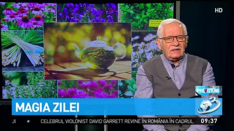 Magia Zilei, cu Mihai Voropchievici. Aceasta este planta ce face minuni pentru zodia Balanță! Ce efecte are