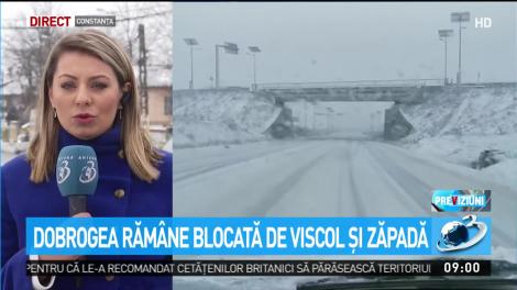 Dobrogea răm&acirc;ne blocată de viscol şi zăpadă