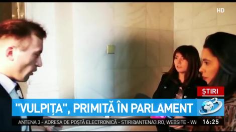 Celebra ''Vulpiţa'', în vizită la Parlament