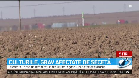 Semne bune anul n-are! Seceta a lovit puternic vestul şi sudul Rom&acirc;niei