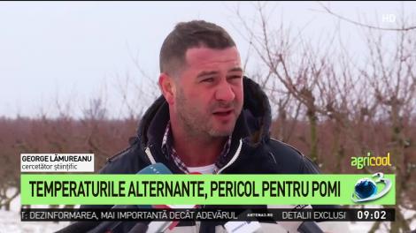 Anomalia climatică din iarnă face pagube uriașe în România: ”Nu vom avea fructe românești!”