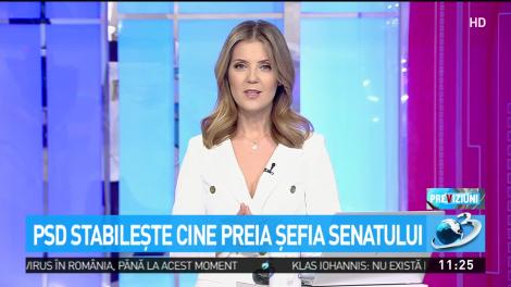 PSD stabilește cine preia șefia Senatului