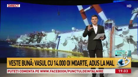 Vasul cu 14.000 de oi moarte a fost adus la mal! Imagini de la operațiune. Video