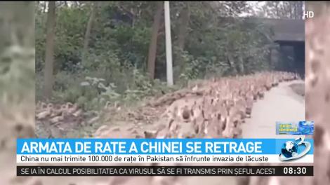 Armata de rațe a Chinei se retrage