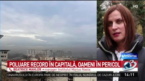 Care sunt efectele asupra plăm&acirc;nilor din cauza poluării din Bucureşti