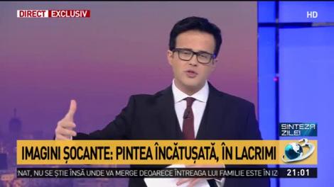 Mihai Gâdea: "De ce trebuia fostul ministru al Sănătății să fie dusă încătușată, fugea?"