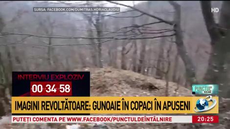 Imagini revoltătoare! Un versant acoperit de gunoaie în Munții Apuseni. Pungi de plastic atârnate în copaci și mobilier aruncat lângă șosea
