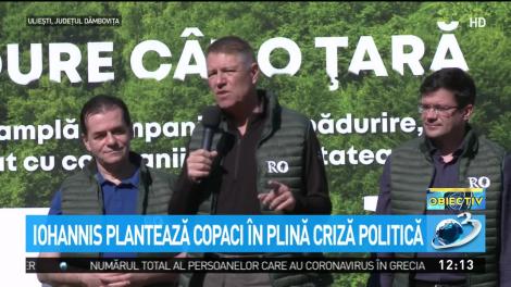 Iohannis: Pădurea trebuie protejată. Este inadmisibil ca &icirc;n secolul 21 să mai avem tăieri ilegale masive