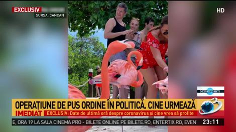 Miza secretă din spatele cazului Pintea