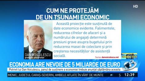 Economia are nevoie de 5 miliarde de euro