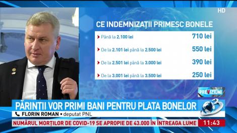 Florin Roman, iniţiatorul legii care le permite părinţilor să beneficieze de ajutor pentru plata bonelor