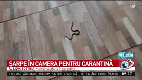Lidia, o româncă întoarsă din străinătate, revoltată de condițiile de cazare în carantină: ”Am găsit un șarpe în cameră!”